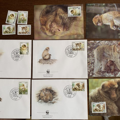 algeria - maimute - serie 4 timbre MNH, 4 FDC, 4 maxime, fauna wwf