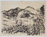 Valentin Hoeflich - Vedere din Sibiel, Tus/Hartie, 24.7x18.8 cm, Semnat, Datat, Localizat