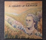 A RASARIT UN LUCEAFAR - Mircea Stefanescu