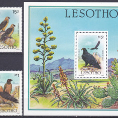 DB1 Fauna Pasari Rapitoare Lesotho 1986 WWF 4 v. + SS MNH