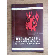 Gh. Munteanu - Indrumatorul consumatorului casnic de gaze combustibile