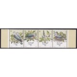 MADEIRA 1991 WWF FAUNA PROTEJATA PASARI PORUMBEI