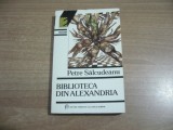 Petre Salcudeanu - Biblioteca din Alexandria