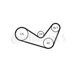 Continental Ctam Set curea transmisie cu caneluri