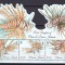 Pitcairn 2015 fauna marina MI bl.69 MNH
