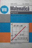 MATEMATICA. ALGEBRA. MANUAL PENTRU CLAS A VII-A-TIBERIU SPIRCU, IOAN CRACIUNEL