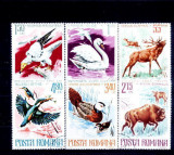 C1135 - Romania 1977 - Fauna 6v..stampilat,serie completa