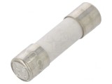 Siguranță &icirc;nt&acirc;rziată 315mA 250V 5x20mm, ESKA