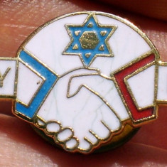 I.664 INSIGNA PIN ORASE INFRATITE FRANTA MASSY HAIFA ISRAEL L30mm email