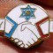 I.664 INSIGNA PIN ORASE INFRATITE FRANTA MASSY HAIFA ISRAEL L30mm email