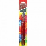 Pensula set 3 par ponei, DACO, PN3