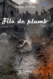 Zile de plumb - Lucian Ciuchita - Editura LiterPress Publishing