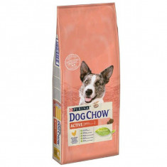 PURINA DOG CHOW Active 14kg foto