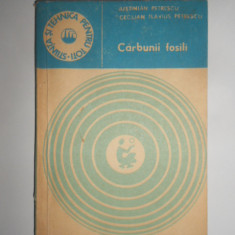 Iustinian Petrescu - Carbunii fosili. Geneza si intrebuintari