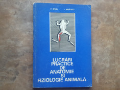 LUCRARI PRACTICE DE ANATOMIE SI FIZIOLOGIE ANIMALA - M. STOICA, 1974 foto