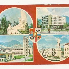 RC15 -Carte Postala- Baia Mare, circulata 1981