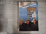 Misterul crimelor de la Little Fawn Lake de Raymond Chandler