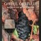 Degustare Vin Ghidul Gustului INITIERE in ARTA VINULUI 168pag Oenologie Somelier