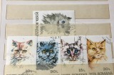 Cumpara ieftin (3) Timbre Serii Romania Fauna Pisici