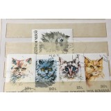 (3) Timbre Serii Romania Fauna Pisici