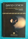David Lynch &ndash; Cum sa prinzi pestele cel mare