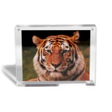 Rama foto magnetica 15 x 11,5 cm, din sticla acrilica transparenta