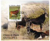 ANGOLA 2019 - Fauna, Antilope / colita, Stampilat