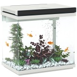 PawHut Acvariu de 26 de litri cu filtru, iluminare cu LED-uri, pompă de apă, pentru diferite specii de pești, aproximativ 38 x 26 x 38 cm | Aosom Roma
