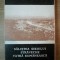 SALISTEA SIBIULUI , STRAVECHE VATRA ROMANEASCA de VICTOR V. GRECU , 1990