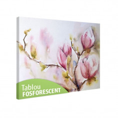 Tablou fosforescent Magnolii in acuarela foto