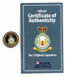 Royal Air Force - No 1 (Fighter) Squadron - Guernsey 2013 - Placata cu AUR, Europa