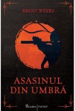 Asasinul din umbra | Brent Weeks, Paladin