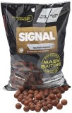 Boilies Tare STARBAITS Mass Baiting, Signal, 24mm, 3kg