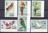 DB1 Fauna Pasari Papagali Ras al Khaima 6 v. MNH NDT