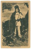 122 - SHEPHERD, ETHNIC, Romania - old postcard - unused, Necirculata, Printata