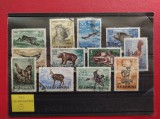 1956 - VANATOAREA ( DANTELATA )