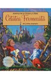 Cetatea Fermecata. Aventurile lui Forest si Vibes - Lorena Anastasiu