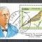 Cuba 1996 Juan Gundlach, perf. sheet, used AA.050