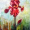 P15. Tablou in acrilic pe panza, Iris Rosu, 30 cm x 40 cm, neinramat, Original