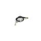 Furtun frana TOYOTA RAV 4 II CLA2 XA2 ZCA2 ACA2 ABE C80135ABE