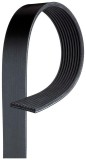 Curea transmisie cu caneluri DAF Cf 85, Xf 105 Motor FA 105.410, FA 105.460, FA 105.510, FA 85.360, FA 85.410, FA 85.460, FA 85.510, FAC 85.360, FAC