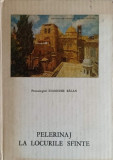 PELERINAJ LA LOCURILE SFINTE-IOANICHIE BALAN-359864