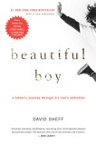 Beautiful Boy: A Father&#039;s Journey Through His Son&#039;s Addiction