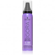 Schwarzkopf Professional IGORA Expert Mousse vopsea de par sub forma de spuma pentru păr culoare 5-88 Light Brown Red Extra 100 ml