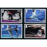 ASCENSION 2011 WWF PASARI