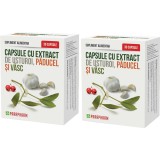 Pachet Capsule cu Extract de Usturoi, Paducel, Vasc 30cps+30cps