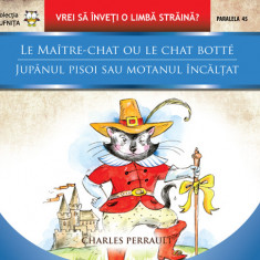 LE MAITRE-CHAT OU LE CHAT BOTTE / JUPANUL PISOI SAU MOTANUL INCALTAT