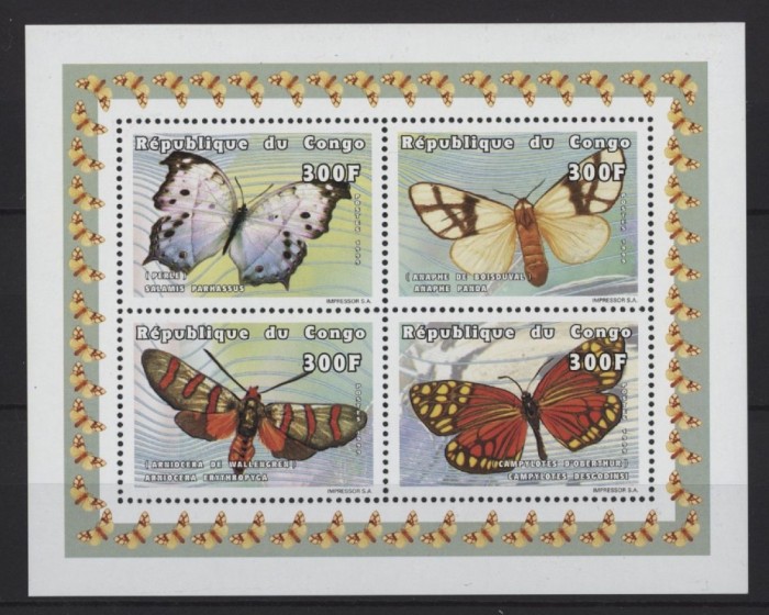 PR CONGO 1999 FAUNA INSECTE FLUTURI