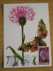 C12 - maxima Romania - tematica flora 1 - prima zi a emisiunii sau expozitii, Romania de la 1950