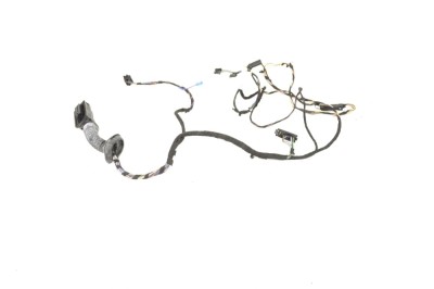 Cablaj ușă dreapta față BMW 3 F30, F80 2012 OEM: 9259995 12147021 foto